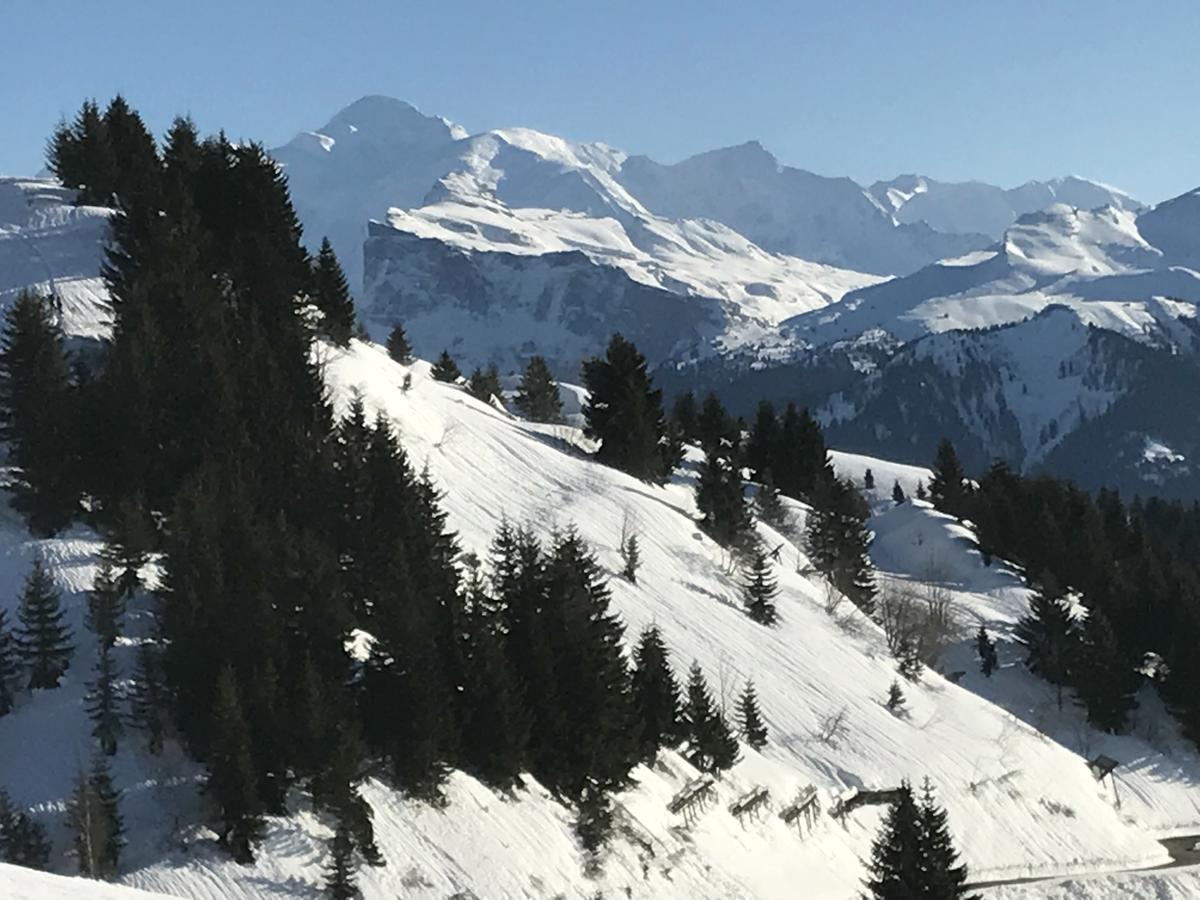 Residence Les Chardons Argentes 2 Samoëns Exteriör bild